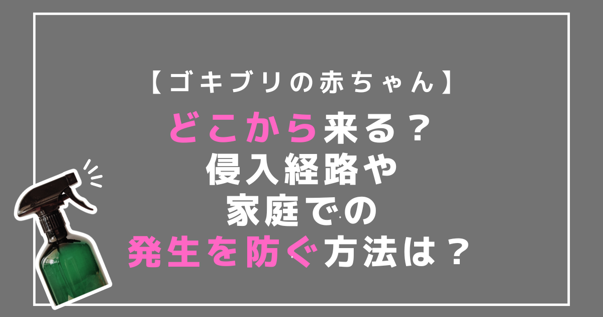 ゴキブリの赤ちゃんはどこから来る？侵入経路や家庭での発生を防ぐ方法は？