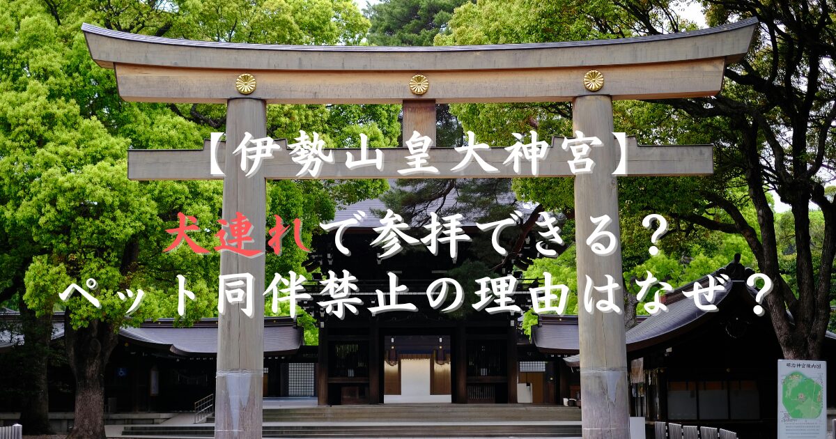 伊勢山皇大神宮は犬連れで参拝できる？ペット同伴禁止の理由はなぜ？