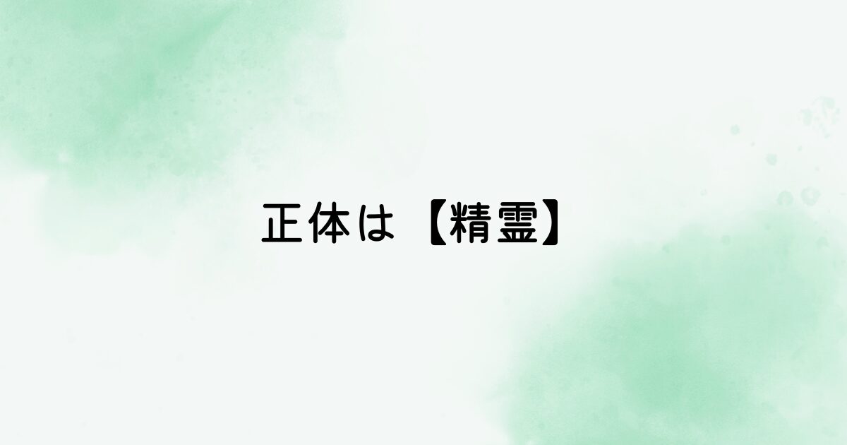 正体は精霊